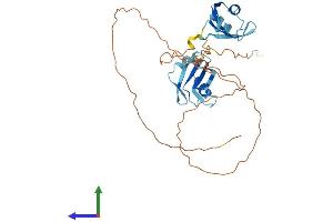 Protein Structure (PS) image for Musashi Homolog 2 (MSI2) (AA 1-328) protein (His tag) (ABIN7549482)