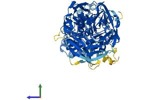 AlphaFold protein structure predicition of Human Recombinant LCMT2 Protein, UniprotID O60294