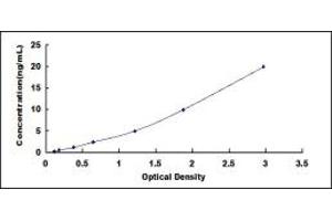 Typical standard curve (PCDH20 ELISA 试剂盒)