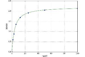 Lactate Dehydrogenase C (LDHC) ELISA Kit