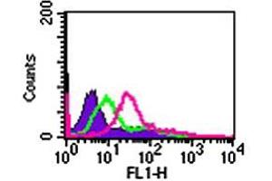 Cell-surface flow cytometry analysis of IL24 in Jurkat cells. (IL-24 抗体  (AA 100-150))