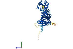 Protein Structure (PS) image for Chromosome 9 Open Reading Frame 100 (C9orf100) (AA 1-344) protein (His tag) (ABIN7557865)