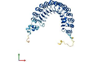 AlphaFold protein structure predicition of Human Recombinant FBXL2 Protein, UniprotID Q9UKC9
