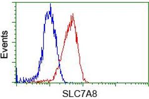 Flow cytometric Analysis of Jurkat cells, using anti-SLC7A8 antibody(TA500632),(Red), compared to a nonspecific negative control antibody,(Blue). (SLC7A8 抗体)