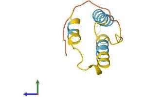 Protein Structure (PS) image for Bladder Cancer Associated Protein (BLCAP) (AA 1-87) protein (Fc Tag) (ABIN7556629)