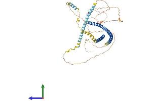 AlphaFold protein structure predicition of Human Recombinant IFFO1 Protein, UniprotID Q0D2I5