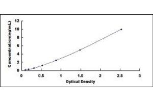 Typical standard curve (B3GALT2 ELISA 试剂盒)