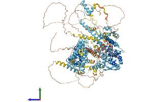 Protein Structure (PS) image for Regulator of G-Protein Signaling 22 (RGS22) (AA 1-1258) protein (His tag) (ABIN7562152)