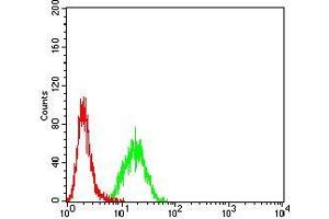 Flow cytometric analysis of Hela cells using MITF mouse mAb (green) and negative control (red). (MITF 抗体  (AA 1-114))