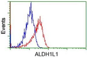 Image no. 2 for anti-Aldehyde Dehydrogenase 1 Family, Member L1 (ALDH1L1) antibody (ABIN1496582) (ALDH1L1 抗体)