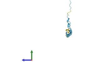AlphaFold protein structure predicition of Mouse Recombinant Sprr2e Protein, UniprotID O70556