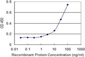 Detection limit for recombinant GST tagged MUSK is 1 ng/ml as a capture antibody. (MUSK 抗体  (AA 301-400))