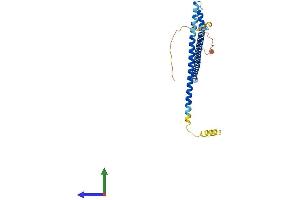 Protein Structure (PS) image for Mirror-Image Polydactyly 1 (MIPOL1) (AA 1-279) protein (His tag) (ABIN7561167)