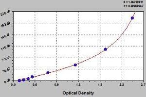Typical standard curve (REG3g ELISA 试剂盒)