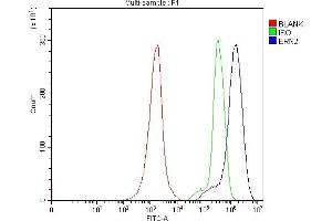 Flow Cytometry analysis of Jurkat cells using anti-ERN2 antibody (ABIN7601945).