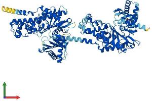 AlphaFold protein structure predicition of Human Recombinant HK2 Protein, UniprotID P52789