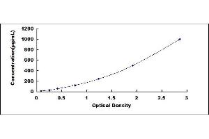 Typical standard curve (CCL24 ELISA 试剂盒)