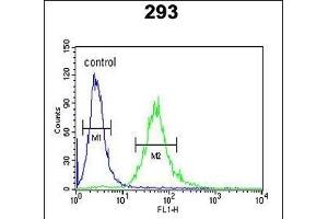 CEA Antibody (Center) (ABIN390407 and ABIN2840797) flow cytometric analysis of 293 cells (right histogram) compared to a negative control cell (left histogram). (CEA 抗体  (AA 400-429))