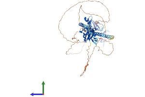 AlphaFold protein structure predicition of Human Recombinant FMR1 Protein, UniprotID Q06787