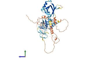Protein Structure (PS) image for Amyloid beta (A4) Precursor Protein-Binding, Family B, Member 3 (APBB3) (AA 1-486) protein (His tag) (ABIN7552225)