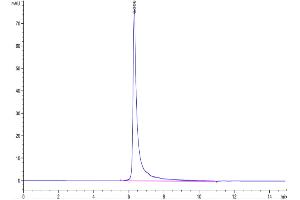 Size-exclusion chromatography-High Pressure Liquid Chromatography (SEC-HPLC) image for Insulin-Like Growth Factor 1 Receptor (IGF1R) (AA 31-932) protein (His-Avi Tag,Biotin) (ABIN7274863)