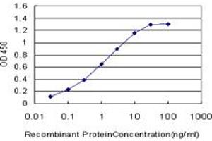 Detection limit for recombinant GST tagged DMPK is approximately 0. (DMPK 抗体  (AA 303-420))