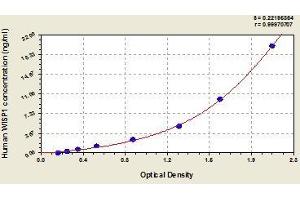 Typical standard curve (WISP1 ELISA 试剂盒)