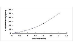 Typical standard curve (FLT3LG ELISA 试剂盒)
