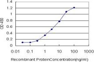 Detection limit for recombinant GST tagged C1orf19 is approximately 0. (TSEN15 抗体  (AA 72-170))