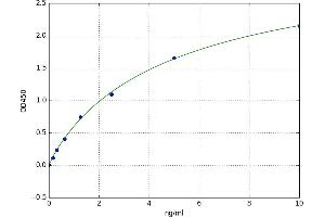 A typical standard curve (SAE1 ELISA 试剂盒)