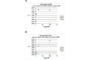 ELISA image for anti-Amyloid beta 1-40 (Abeta 1-40) (AA 33-40) antibody (ABIN1742443) (Abeta 1-40 抗体  (AA 33-40))