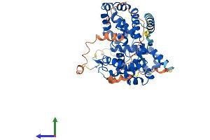 Protein Structure (PS) image for TBC1 Domain Family, Member 10C (TBC1D10C) (AA 1-444) protein (His tag) (ABIN7559210)