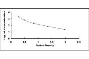 Typical standard curve (GLP-2 ELISA 试剂盒)