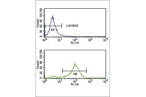 Flow Cytometry (FACS) image for anti-Secreted Frizzled-Related Protein 1 (SFRP1) antibody (ABIN3004008) (SFRP1 抗体)