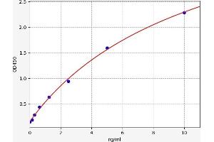 PCNA ELISA 试剂盒