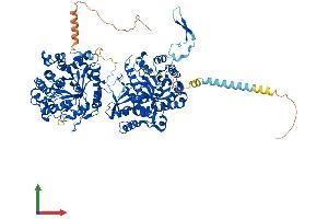 Protein Structure (PS) image for Klotho beta (KLB) (AA 1-1044) protein (His tag) (ABIN7554392)