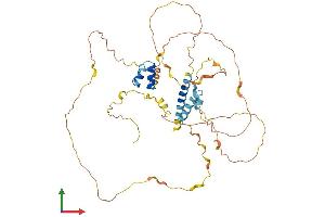Protein Structure (PS) image for MEF2 Activating Motif and SAP Domain Containing Transcriptional Regulator (MAMSTR) (AA 1-421) protein (His tag) (ABIN7556959)