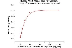 ELISA image for Angiotensin I Converting Enzyme 2 (ACE2) (AA 18-740) (Active) protein (mFc Tag) (ABIN7013262)