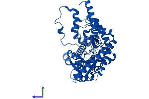 Protein Structure (PS) image for Dopa Decarboxylase (Aromatic L-Amino Acid Decarboxylase) (DDC) (AA 1-480) protein (His tag) (ABIN7547081)