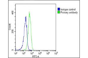 Overlay histogram showing K562 cells stained with (ABIN652508 and ABIN2842341)(green line). (SREBF chaperone 抗体  (AA 604-632))