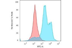Flow Cytometric Analysis of paraformaldehyde-fixed HeLa cells using Histone H1 Rabbit Recombinant Monoclonal Antibody (HH1/1784R) followed by goat anti-rabbit IgG-CF488 (Blue); Isotype Control (Red). (Recombinant Histone H1 抗体)