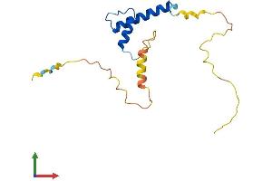Protein Structure (PS) image for Inhibitor of DNA Binding 4, Dominant Negative Helix-Loop-Helix Protein (ID4) (AA 1-161) protein (His tag) (ABIN7548442)