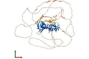 Protein Structure (PS) image for Melanoma Antigen Family D, 1 (MAGED1) (AA 1-775) protein (His tag) (ABIN7565158)