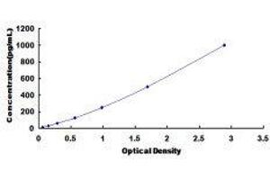 ELISA image for Vascular Endothelial Cell Growth Factor 121 (VEGF121) ELISA Kit (ABIN572433)