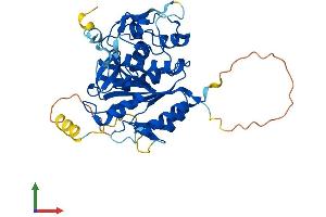 Protein Structure (PS) image for Autophagy related 4B Cysteine Peptidase (ATG4B) (AA 1-393) protein (His tag) (ABIN7552441)