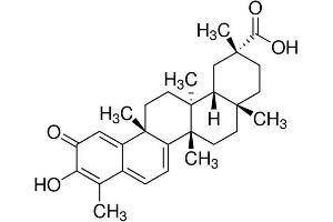 Chemical structure of Celastrol , a Proteasome inhibitor.