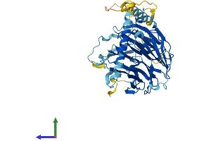 Protein Structure (PS) image for WD Repeat Domain 18 (WDR18) (AA 1-432) protein (His tag) (ABIN7545163)