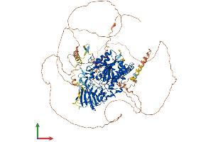 AlphaFold protein structure predicition of Mouse Recombinant Agbl3 Protein, UniprotID Q8CDP0