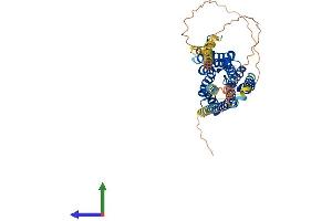 AlphaFold protein structure predicition of Mouse Recombinant Htr2a Protein, UniprotID P35363 (HTR2A Protein (AA 1-471) (His tag))