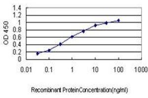 Detection limit for recombinant GST tagged ATF4 is approximately 0.